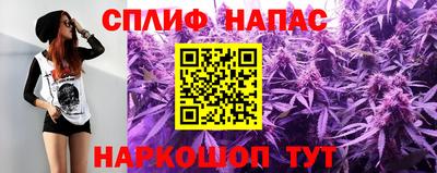 стаф Моздок