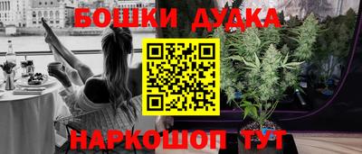стаф Моздок