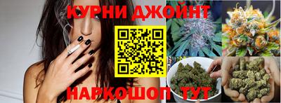 стаф Моздок